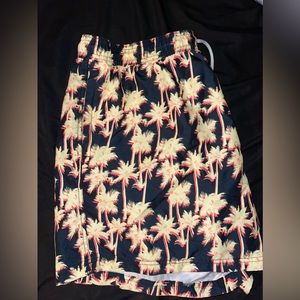 American Eagle Swim Trunks